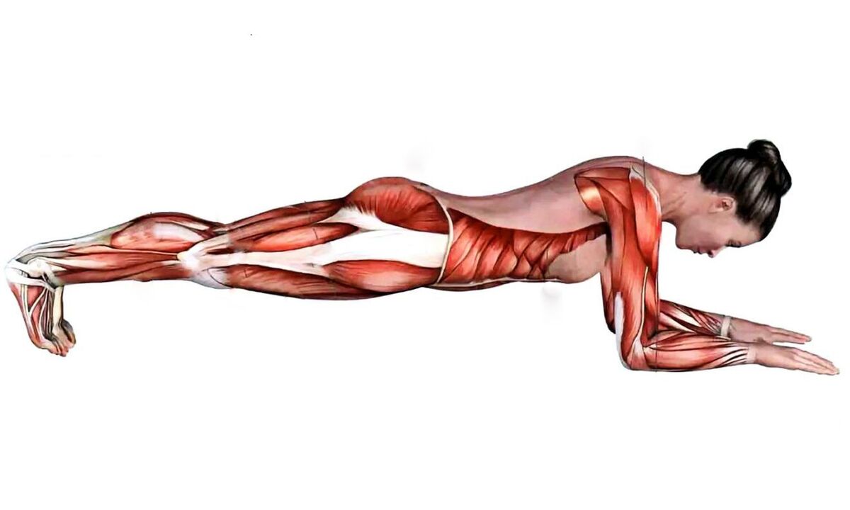 ce mușchi lucrează când plank