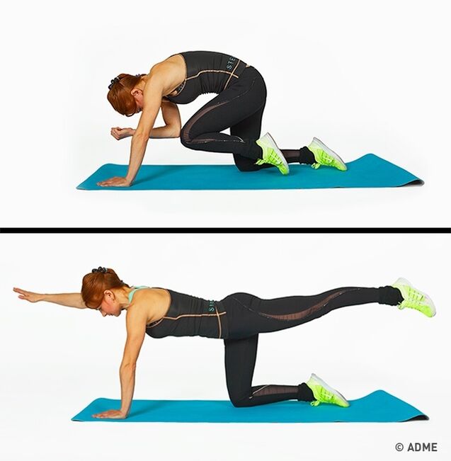 exerciții